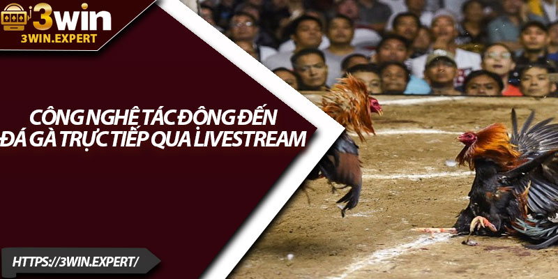 Đá Gà Trực Tiếp Qua Livestream – Giải Trí Thực Tế Từng Giây 4 Công nghệ tác động đến đá gà trực tiếp qua livestream