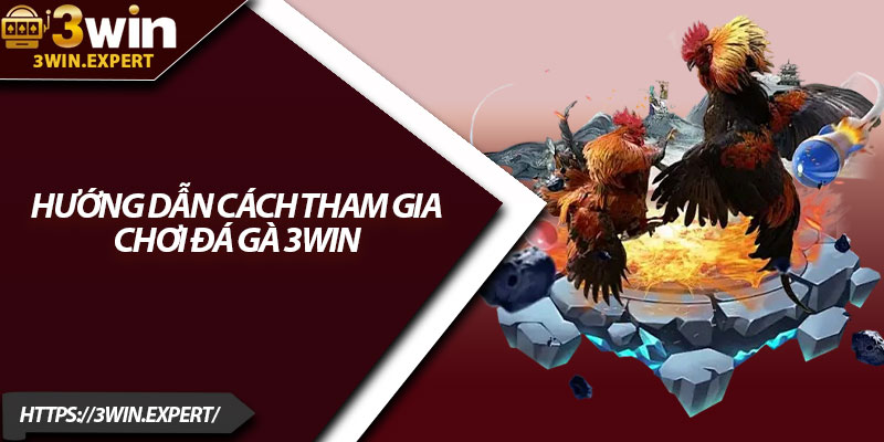 Đá Gà 3Win – Màn So Tài Đỉnh Cao Của Các Chiến Kê 2 Hướng dẫn cách tham gia chơi đá gà 3Win