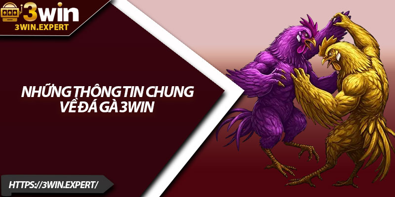 Đá Gà 3Win – Màn So Tài Đỉnh Cao Của Các Chiến Kê 1 Những thông tin chung về đá gà 3Win