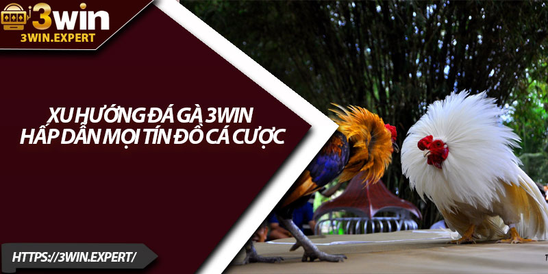 Xu Hướng Đá Gà 3Win – Hấp Dẫn Mọi Tín Đồ Cá Cược 1 Xu Huong Da Ga 3Win – Hap Dan Moi Tin Do Ca Cuoc