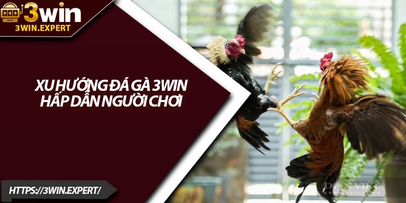Xu Hướng Đá Gà 3Win – Hấp Dẫn Mọi Tín Đồ Cá Cược 2 Xu hướng đá gà 3Win hấp dẫn người chơi