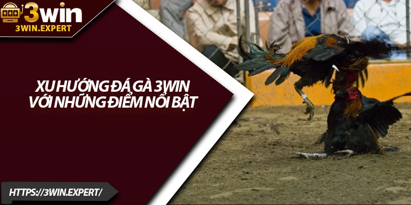 Xu Hướng Đá Gà 3Win – Hấp Dẫn Mọi Tín Đồ Cá Cược 3 Xu hướng đá gà 3Win với những điểm nổi bật